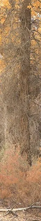 中考分流:砸两三百万读国际班,到底是退路,还是自我安慰?-第3张图片-四季读书网 中考分流:砸两三百万读国际班,到底是退路,还是自我安慰?-第3张图片-四季读书网