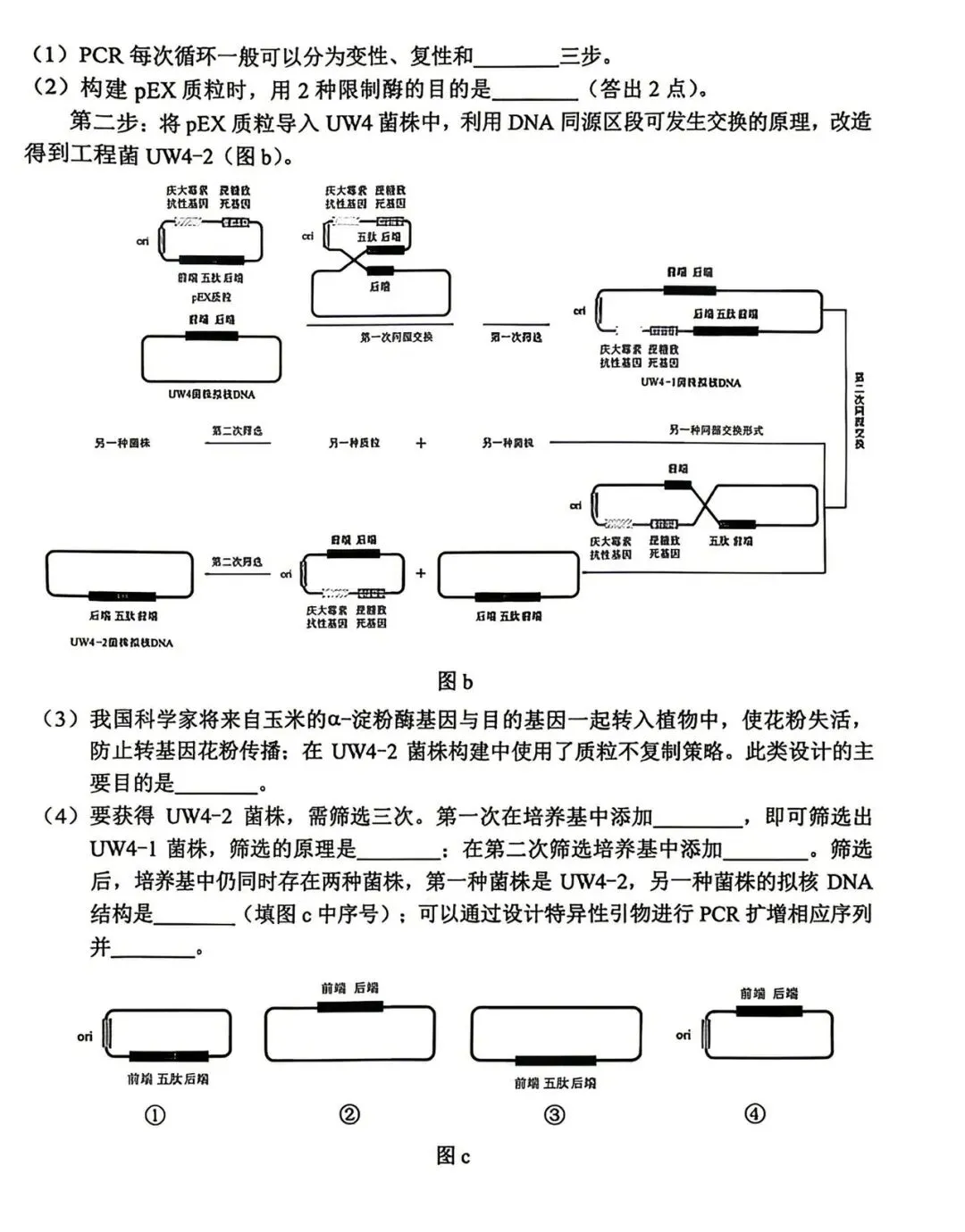 2026年高考真题之云南卷-第8张图片-四季读书网