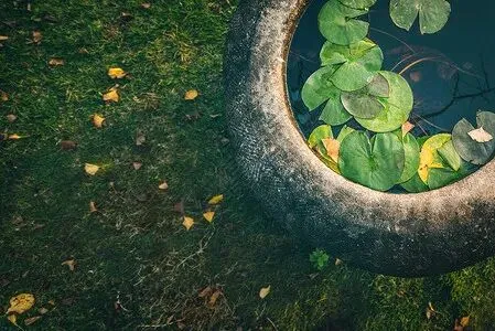 中考特辑 | 中考英语没有及格,但我依然看好他的未来——从普高、全托班到艺术之路,一个男孩的成长启示-第1张图片-四季读书网 中考特辑 | 中考英语没有及格,但我依然看好他的未来——从普高、全托班到艺术之路,一个男孩的成长启示-第1张图片-四季读书网