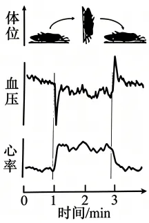 【资源建设】2026高考生物学真题(安徽卷)(Word+解析)-第2张图片-四季读书网