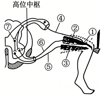 【资源建设】2026高考生物学真题(安徽卷)(Word+解析)-第3张图片-四季读书网