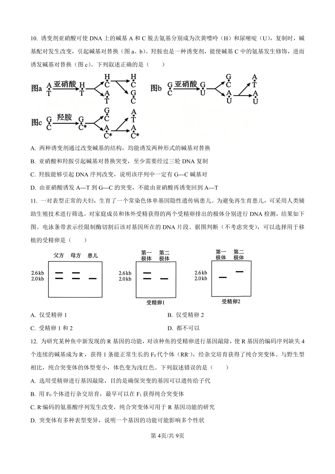 最新!2026年全国各地高考真题汇总(可下载)-第166张图片-四季读书网