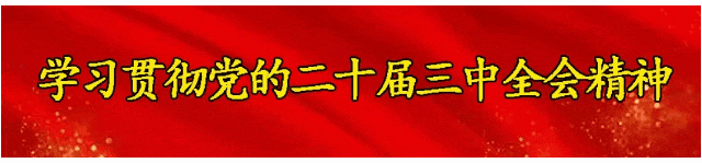 关于中考期间抽调部分公交车接送学生的通告-第2张图片-四季读书网
