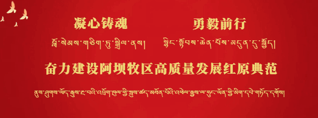 【中考加油】格桑逐梦 不负韶华!红原初中学子昂首奔赴2026年-第1张图片-四季读书网 【中考加油】格桑逐梦 不负韶华!红原初中学子昂首奔赴2026年-第1张图片-四季读书网