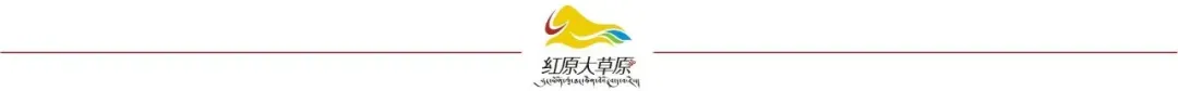 【中考加油】格桑逐梦 不负韶华!红原初中学子昂首奔赴2026年-第2张图片-四季读书网 【中考加油】格桑逐梦 不负韶华!红原初中学子昂首奔赴2026年-第2张图片-四季读书网