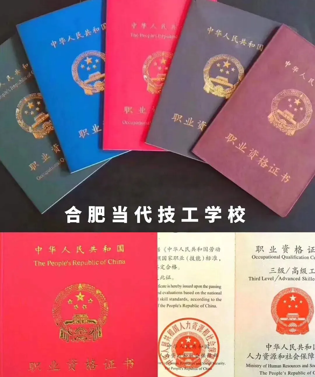 中考不是终点!让孩子另辟成才坦途-第33张图片-四季读书网 中考不是终点!让孩子另辟成才坦途-第33张图片-四季读书网