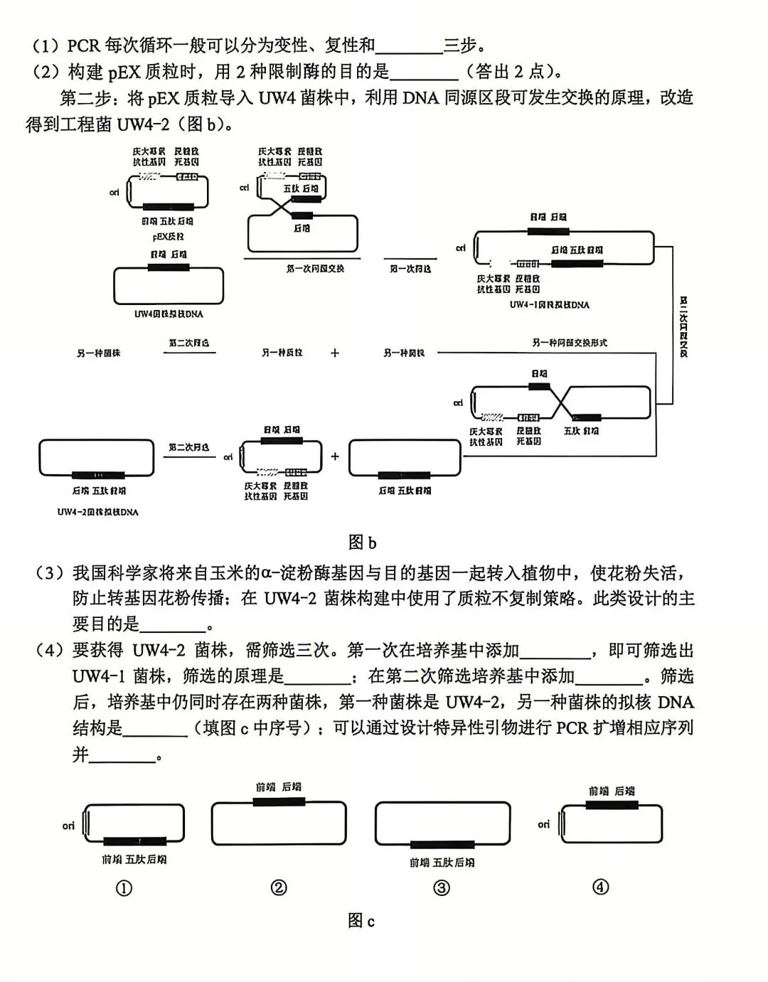 2026高考生物真题|云南卷-第8张图片-四季读书网 2026高考生物真题|云南卷-第8张图片-四季读书网