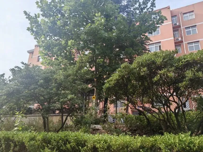 中考顺利---实验高中欢迎你-第4张图片-四季读书网 中考顺利---实验高中欢迎你-第4张图片-四季读书网