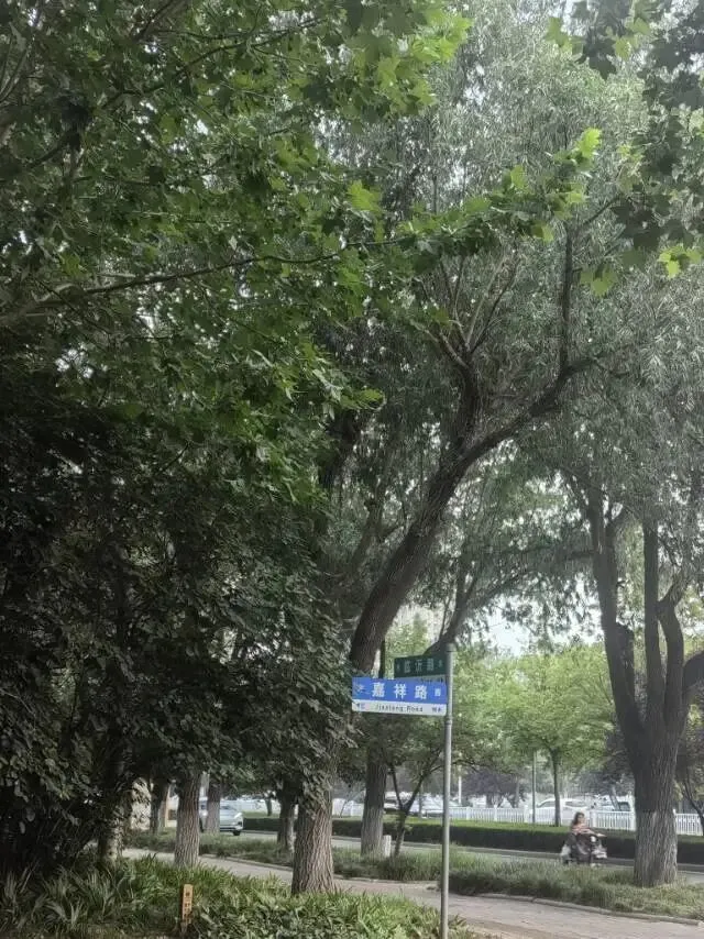 中考顺利---实验高中欢迎你-第5张图片-四季读书网 中考顺利---实验高中欢迎你-第5张图片-四季读书网