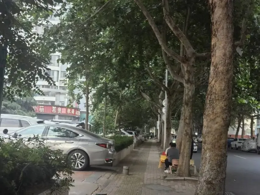 中考顺利---实验高中欢迎你-第10张图片-四季读书网 中考顺利---实验高中欢迎你-第10张图片-四季读书网