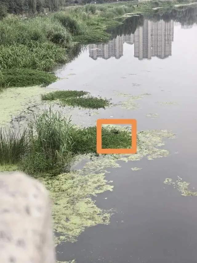 中考顺利---实验高中欢迎你-第11张图片-四季读书网 中考顺利---实验高中欢迎你-第11张图片-四季读书网