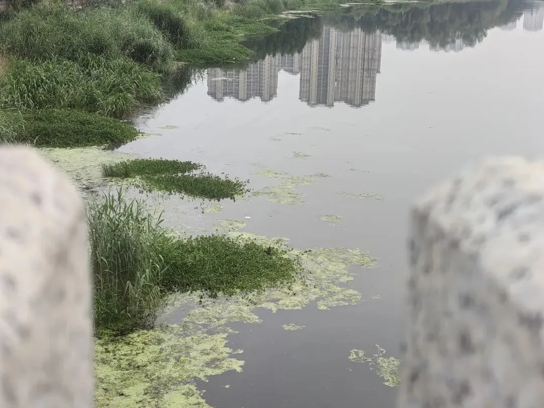 中考顺利---实验高中欢迎你-第12张图片-四季读书网 中考顺利---实验高中欢迎你-第12张图片-四季读书网