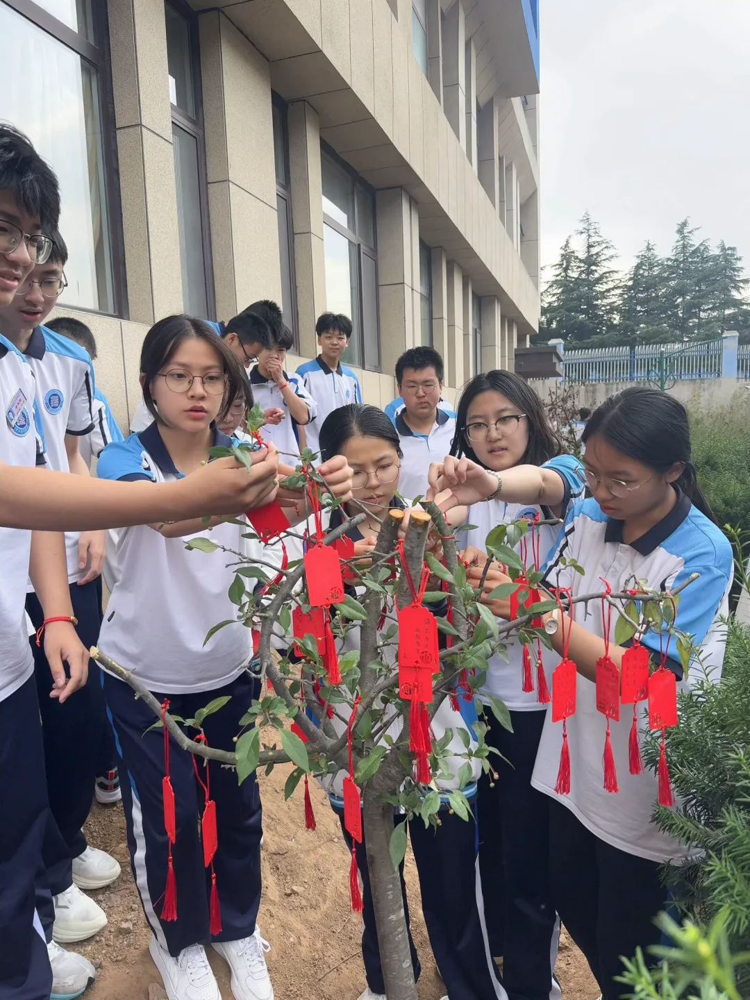 红绳系梦,誓言凌云:长江学子,中考请放手一搏!-第25张图片-四季读书网 红绳系梦,誓言凌云:长江学子,中考请放手一搏!-第25张图片-四季读书网