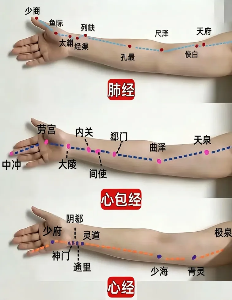 中考开启,祝同学们学业有成,考试顺利,笔下生辉,金榜题名,所求皆所愿-第16张图片-四季读书网 中考开启,祝同学们学业有成,考试顺利,笔下生辉,金榜题名,所求皆所愿-第16张图片-四季读书网