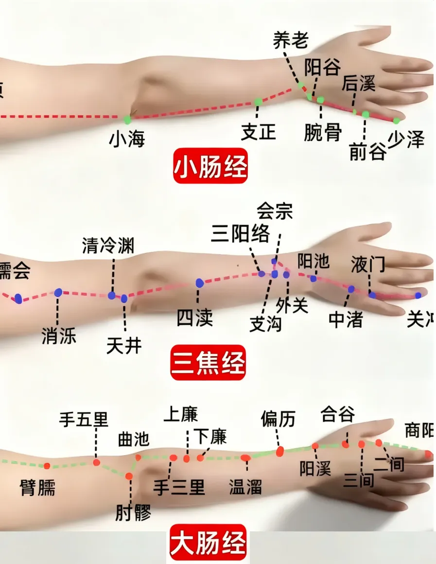 中考开启,祝同学们学业有成,考试顺利,笔下生辉,金榜题名,所求皆所愿-第17张图片-四季读书网 中考开启,祝同学们学业有成,考试顺利,笔下生辉,金榜题名,所求皆所愿-第17张图片-四季读书网