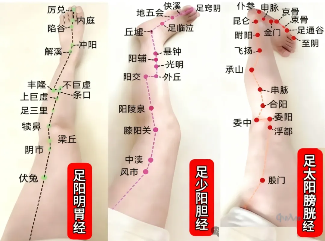中考开启,祝同学们学业有成,考试顺利,笔下生辉,金榜题名,所求皆所愿-第18张图片-四季读书网 中考开启,祝同学们学业有成,考试顺利,笔下生辉,金榜题名,所求皆所愿-第18张图片-四季读书网