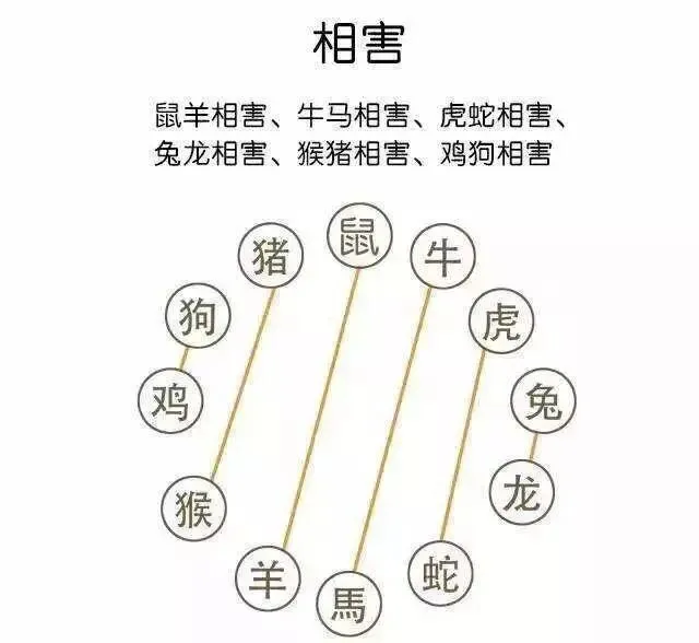 中考开启,祝同学们学业有成,考试顺利,笔下生辉,金榜题名,所求皆所愿-第29张图片-四季读书网 中考开启,祝同学们学业有成,考试顺利,笔下生辉,金榜题名,所求皆所愿-第29张图片-四季读书网