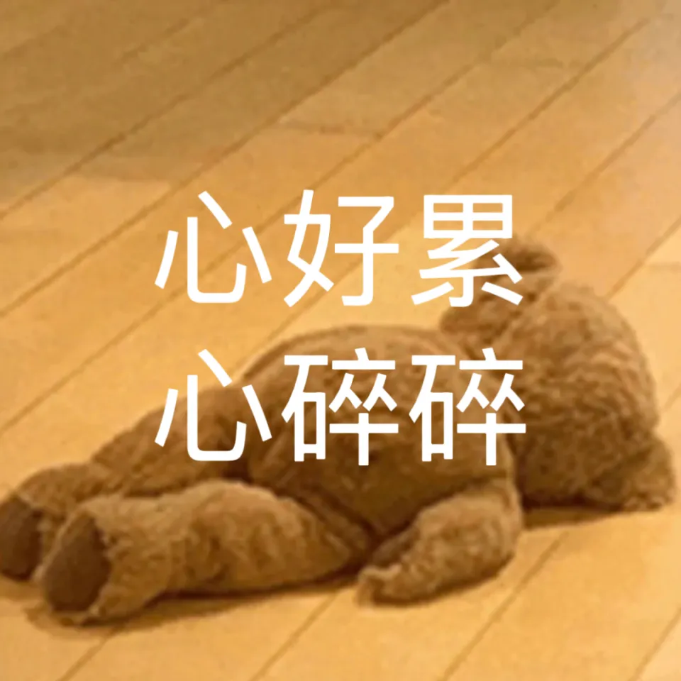 中国留学生在考场偷拍试卷,还传上抖音,悉尼大学紧急调查-第10张图片-四季读书网 中国留学生在考场偷拍试卷,还传上抖音,悉尼大学紧急调查-第10张图片-四季读书网