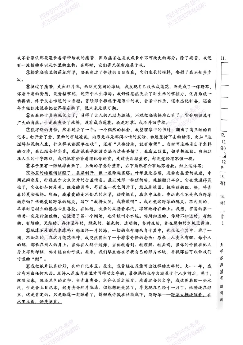 陕西中考必做!西安2026中考模拟:【交大附中】九年级六模考试【语文】含答案,免费下载-第11张图片-四季读书网 陕西中考必做!西安2026中考模拟:【交大附中】九年级六模考试【语文】含答案,免费下载-第11张图片-四季读书网