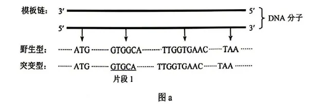 2026年云南省高考生物试卷真题-第1张图片-四季读书网 2026年云南省高考生物试卷真题-第1张图片-四季读书网