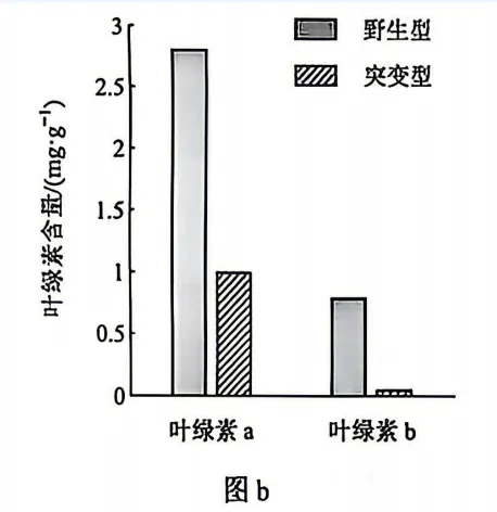 2026年云南省高考生物试卷真题-第2张图片-四季读书网 2026年云南省高考生物试卷真题-第2张图片-四季读书网