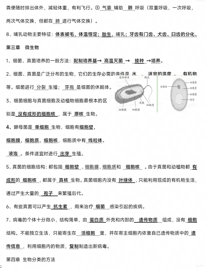 最新生物中考复习“最后冲刺背诵”基础知识提纲答案划线版+挖空默写版 共8页word文档 只要4张8开纸双面 可直接打印-第5张图片-四季读书网