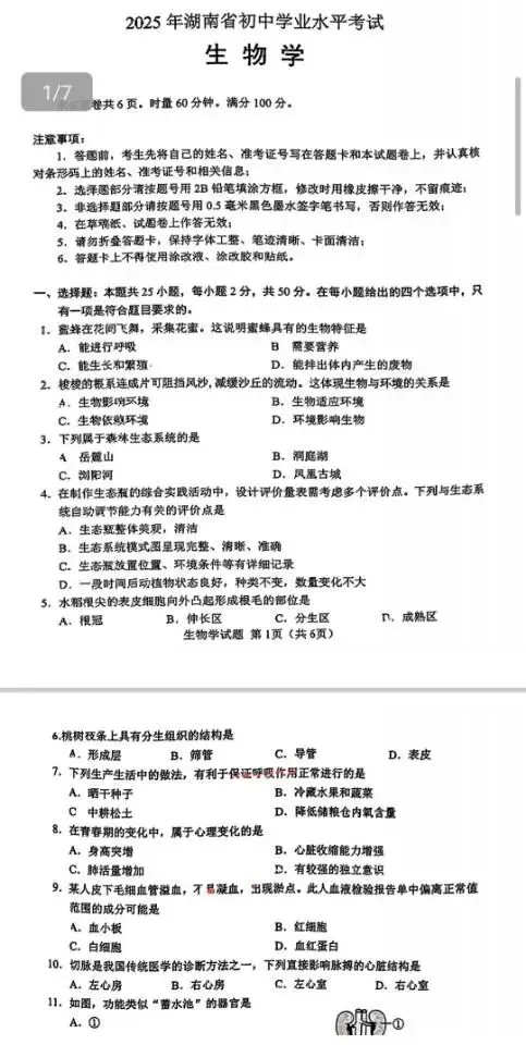 2025年湖南省中考真题(全科)-第8张图片-四季读书网