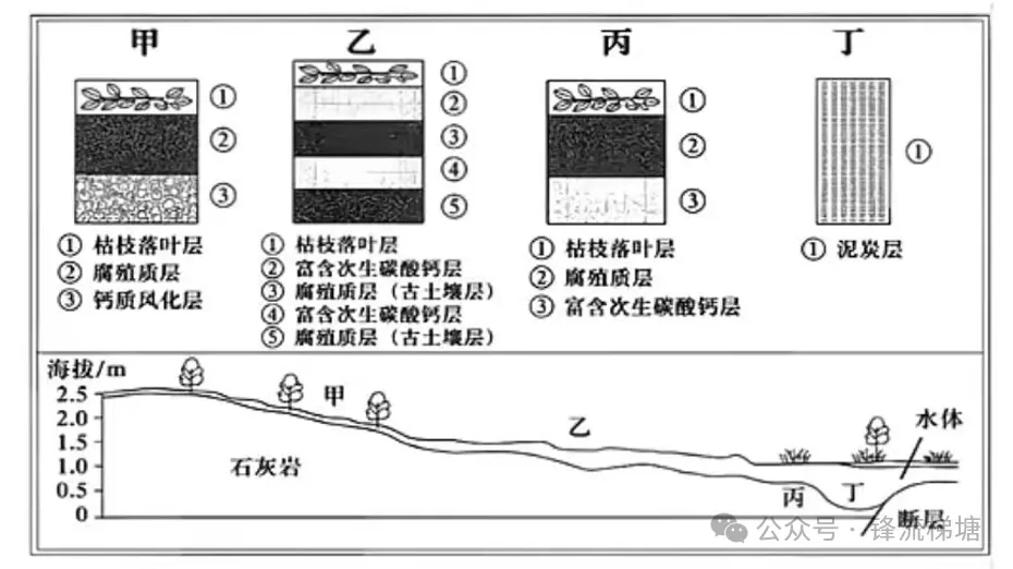 2026年高考地理山东卷真题+参考答案及解析-第8张图片-四季读书网 2026年高考地理山东卷真题+参考答案及解析-第8张图片-四季读书网