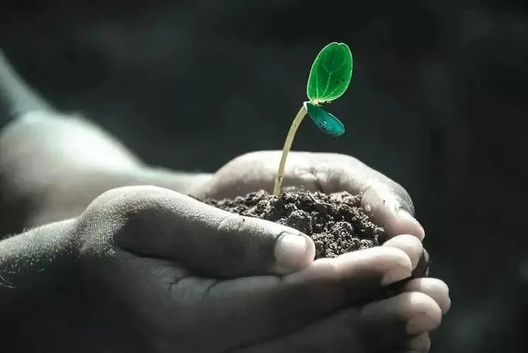 【中考阅读指导】一个想当诗人的人(申赋渔)浙江绍兴2026一模-第5张图片-四季读书网