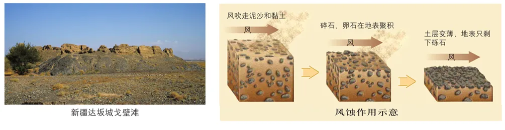 【合格考考前真题复习Day9】必修一 4.1-4.2 常见地貌类型与地貌的观察 距合格考还有14天-第12张图片-四季读书网 【合格考考前真题复习Day9】必修一 4.1-4.2 常见地貌类型与地貌的观察 距合格考还有14天-第12张图片-四季读书网