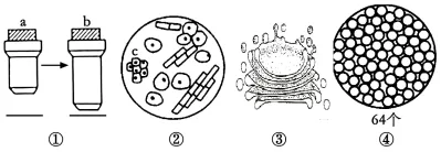 2026年河南省高中生物学业水平合格性考试模拟试题和答案(一)(附word下载) ⊙-第7张图片-四季读书网 2026年河南省高中生物学业水平合格性考试模拟试题和答案(一)(附word下载) ⊙-第7张图片-四季读书网