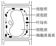 2026年河南省高中生物学业水平合格性考试模拟试题和答案(一)(附word下载) ⊙-第9张图片-四季读书网 2026年河南省高中生物学业水平合格性考试模拟试题和答案(一)(附word下载) ⊙-第9张图片-四季读书网