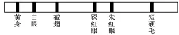 2026年河南省高中生物学业水平合格性考试模拟试题和答案(一)(附word下载) ⊙-第16张图片-四季读书网 2026年河南省高中生物学业水平合格性考试模拟试题和答案(一)(附word下载) ⊙-第16张图片-四季读书网