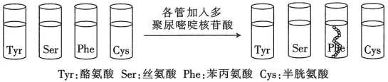 2026年河南省高中生物学业水平合格性考试模拟试题和答案(一)(附word下载) ⊙-第17张图片-四季读书网 2026年河南省高中生物学业水平合格性考试模拟试题和答案(一)(附word下载) ⊙-第17张图片-四季读书网