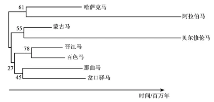2026年河南省高中生物学业水平合格性考试模拟试题和答案(一)(附word下载) ⊙-第20张图片-四季读书网 2026年河南省高中生物学业水平合格性考试模拟试题和答案(一)(附word下载) ⊙-第20张图片-四季读书网
