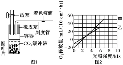 2026年河南省高中生物学业水平合格性考试模拟试题和答案(一)(附word下载) ⊙-第22张图片-四季读书网 2026年河南省高中生物学业水平合格性考试模拟试题和答案(一)(附word下载) ⊙-第22张图片-四季读书网
