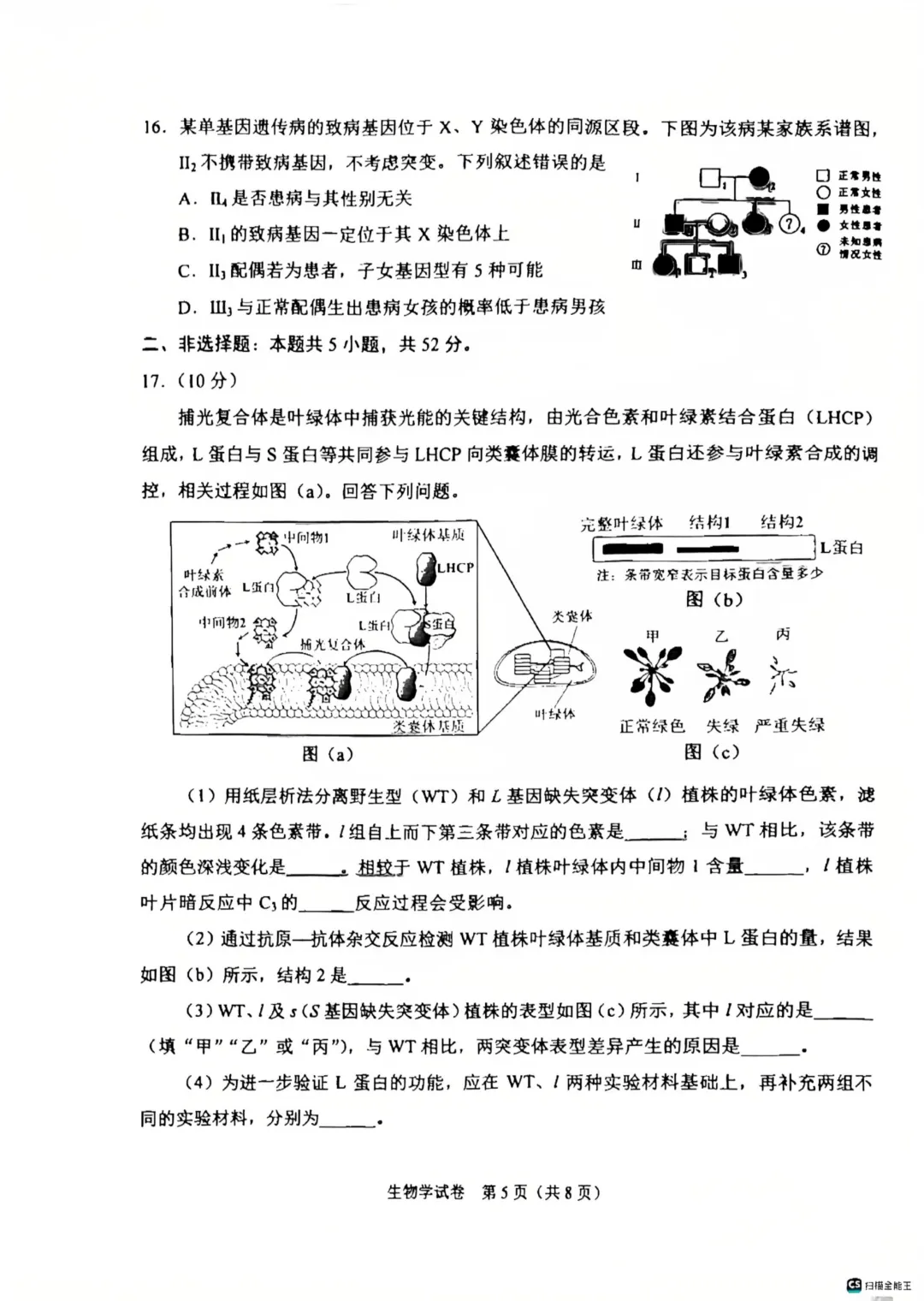 【高考真题】2026陕西省生物学高考真题(图片版)-第5张图片-四季读书网