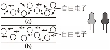 中考物理复习强化基础特训每日打卡跟踪(十三)6月13日-第10张图片-四季读书网