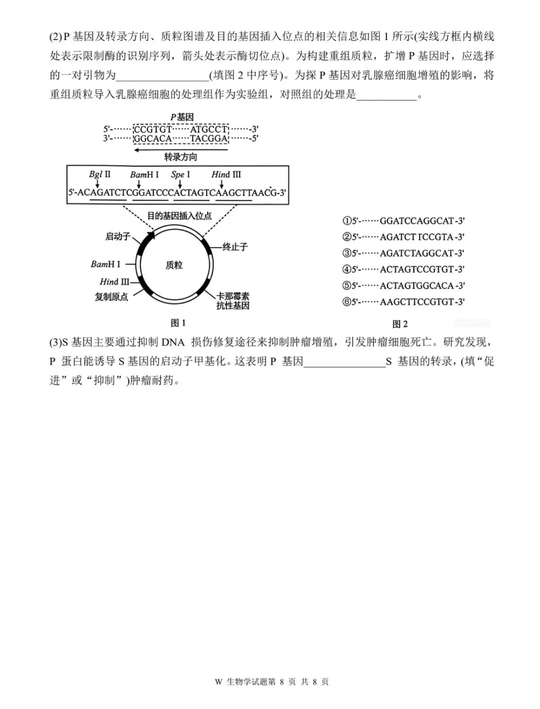 2026安徽高考生物真题卷-第8张图片-四季读书网