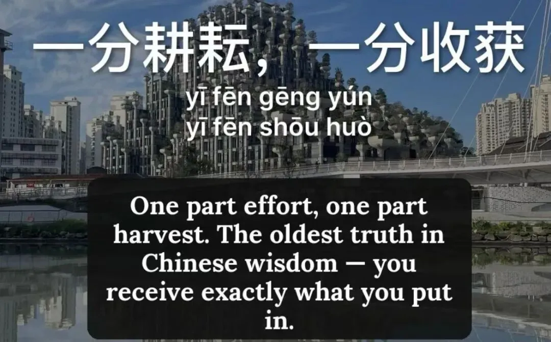 恋爱脑!学太极!今年的高考英语试卷藏着这些新信号:告别模板写作,提升思维品质(2)-第1张图片-四季读书网 恋爱脑!学太极!今年的高考英语试卷藏着这些新信号:告别模板写作,提升思维品质(2)-第1张图片-四季读书网