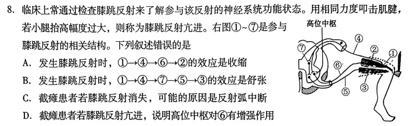【2026安徽真题研究08】 膝跳反射亢进?别慌,这是“刹车”失灵了!-第1张图片-四季读书网 【2026安徽真题研究08】 膝跳反射亢进?别慌,这是“刹车”失灵了!-第1张图片-四季读书网