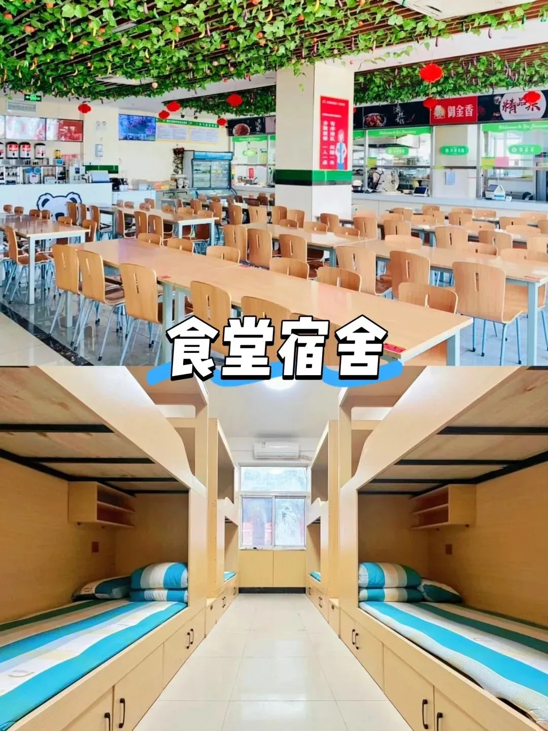 中考首日 | 择校别盲目,实地考察更靠谱!菏泽新东方烹饪学校择校指南来啦!-第16张图片-四季读书网 中考首日 | 择校别盲目,实地考察更靠谱!菏泽新东方烹饪学校择校指南来啦!-第16张图片-四季读书网