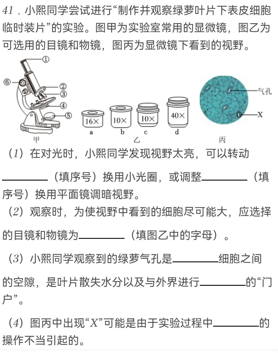 中考试卷:2026年江苏省苏州市中考生物试卷-第14张图片-四季读书网 中考试卷:2026年江苏省苏州市中考生物试卷-第14张图片-四季读书网