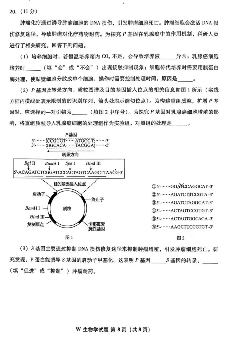 试题|2026年安徽省高考生物学真题-第8张图片-四季读书网