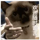 划重点!北师大MAP《心理学导论》真题对照考纲,全书高频考点汇总-第23张图片-四季读书网 划重点!北师大MAP《心理学导论》真题对照考纲,全书高频考点汇总-第23张图片-四季读书网