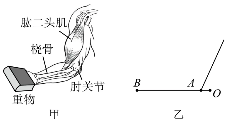 【物理拓展】初二(八)下物理期末试卷(模拟卷3)-第35张图片-四季读书网