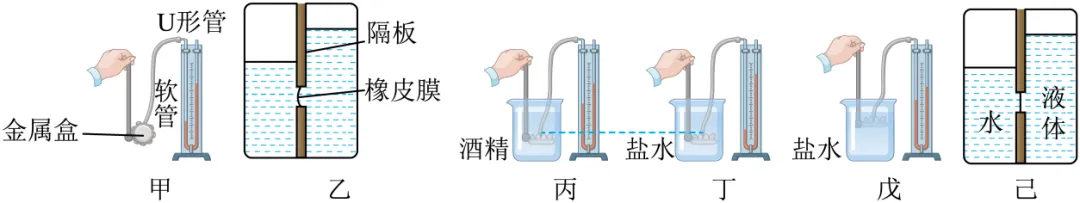 【物理拓展】初二(八)下物理期末试卷(模拟卷3)-第47张图片-四季读书网