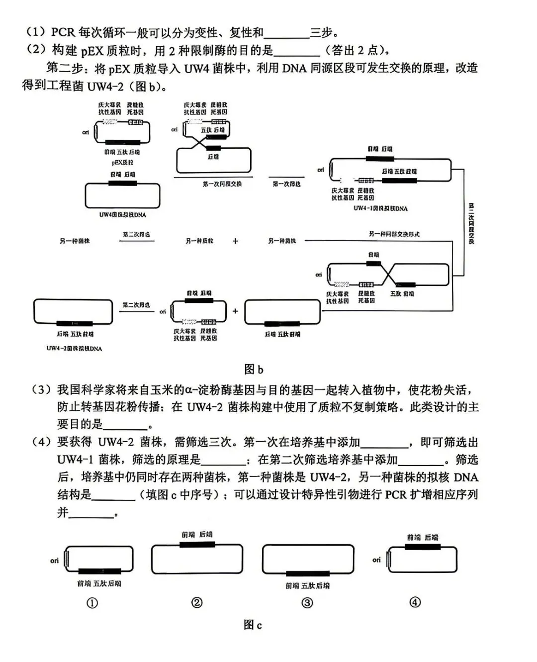 2026云南高考生物真题试卷-第8张图片-四季读书网