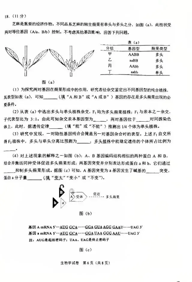 【第41期】2026年陕西省生物学高考真题-第6张图片-四季读书网