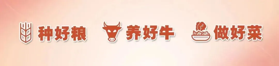 中考期间,经过利辛这些路段请注意!-第3张图片-四季读书网